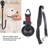 Dog Bathing Tether with Suction Cup Dog Bathing Tether with