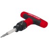 CRAFTSMAN 13 Piece Speeddrive Ratcheting T-Handle Set (CMHT68135)