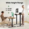 Marsail Electric Standing Desk with One-Piece Desktop,48 x 30 inch