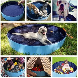 Jasonwell Alberca para Perro Plegable - Piscina para Perros y Mascotas Portátil Alberca Grande de Plastico Duro Tina Plegable Baño para Perro Bañera  