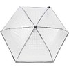 iX-brella Pocket Umbrella Transparent with Lens Effect and Coloured Handle