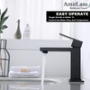 AmirLans Black Faucet Bathroom, Stainless Steel Matte Black Bathroom Faucet