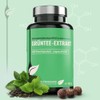 Dr. Fleckenstein Green Tea Extract Highly Concentrated Dietary Supplement with