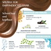 Clinuance Permanent Colouration without Ammonia Sensitive Hair 5.0 Chestnut Brown
