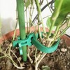 huoanpo 10PCS 25cm Interlocking Tree Support Strap with Buckle -
