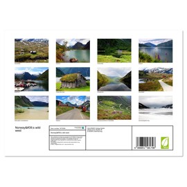 Norway's wild west (Monthly Wall Calendar 2025 16.5" x 23.4" (open)), CALVENDO 14 Month Calendar