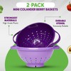 Crisp 2-Piece Mini Colander Berry Baskets With Handles - Food