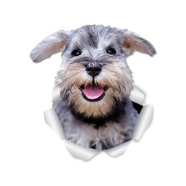 Winston & Bear Smiling Schnauzer Dog Wall Decals - 2 Pack - Mini Schnauzer 3D Sticker Decals for Walls, Cars, Toilet and More - Retail Packaged Schnauzer Gifts