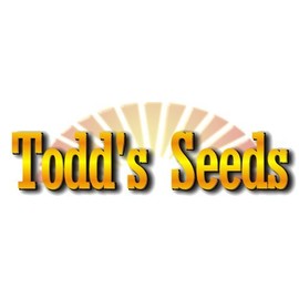 Todd’s Seeds - Sprouting Broccoli Seeds - Calabrese Variety, Non-GMO, Heirloom - 1 pound - Bulk Seeds