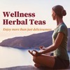 Fullchea - Cranberry Apple Tea, 45 Teabags - Cranberry Tea