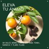 Aveda Cherry Almond Softening Conditioner | Acondiciona profundamente y devuelve