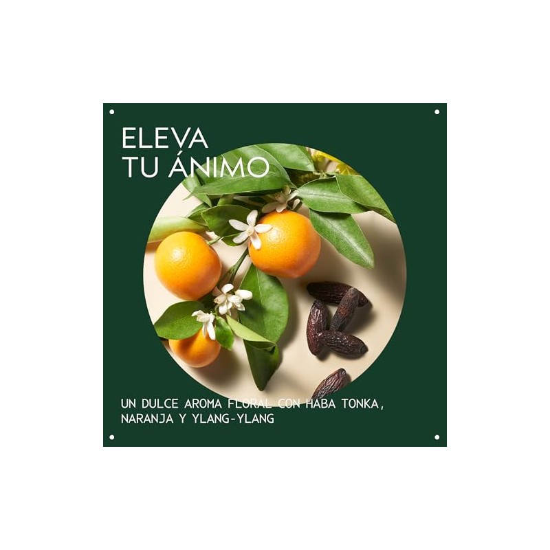 Aveda Cherry Almond Softening Conditioner | Acondiciona profundamente y devuelve