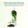 Youngevity Plant Derived Minerals Multi-Mineral Complex | Made from Humic