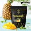Ambrosia Hydroglyph Intraworkout Electrolytes Hydration Drink Mix | Sugar Free
