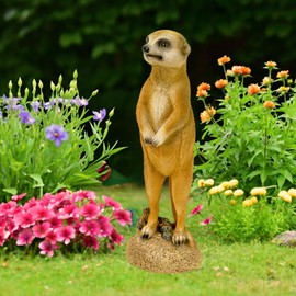Kremers Schatzkiste Small Meerkat Standing Garden Figurine 20 cm Meercat Animal Figure