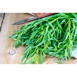 KIRA SEEDS - Seeds French Tarragon Medicinal - Estragon - Heirloom Herbs - GMO Free