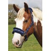 Rhinegold Logo Headcollar Fleece Trim - Shet - Blue
