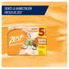 ZEST Jabón en Barra Agua de Coco y Agave, 5pack