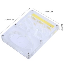 Formicario 3D Transparente para Hormigas - Caja de Acrílico 13x10x2cm con Nido y Área de Alimentación, Ideal para Observación de Insectos y Proyectos Escolares (Incluye Guía)