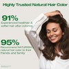 Naturigin Hair Colour - Permanent - Dark Coffee Brown -