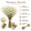 100Pcs Baby’s Breath Flowers, White Gypsophila for Wedding