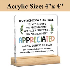Inspirational Desk Decor, Employee Appreciation Gifts, Inspirational Gifts for Women Appreciation Gifts for Coworkers, Motivational Quote Clear Acrylic Desk Decoration for Office Home