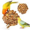 Abizoo Natural Pinecone Chew Toys with Edible Sunflower & Veggies