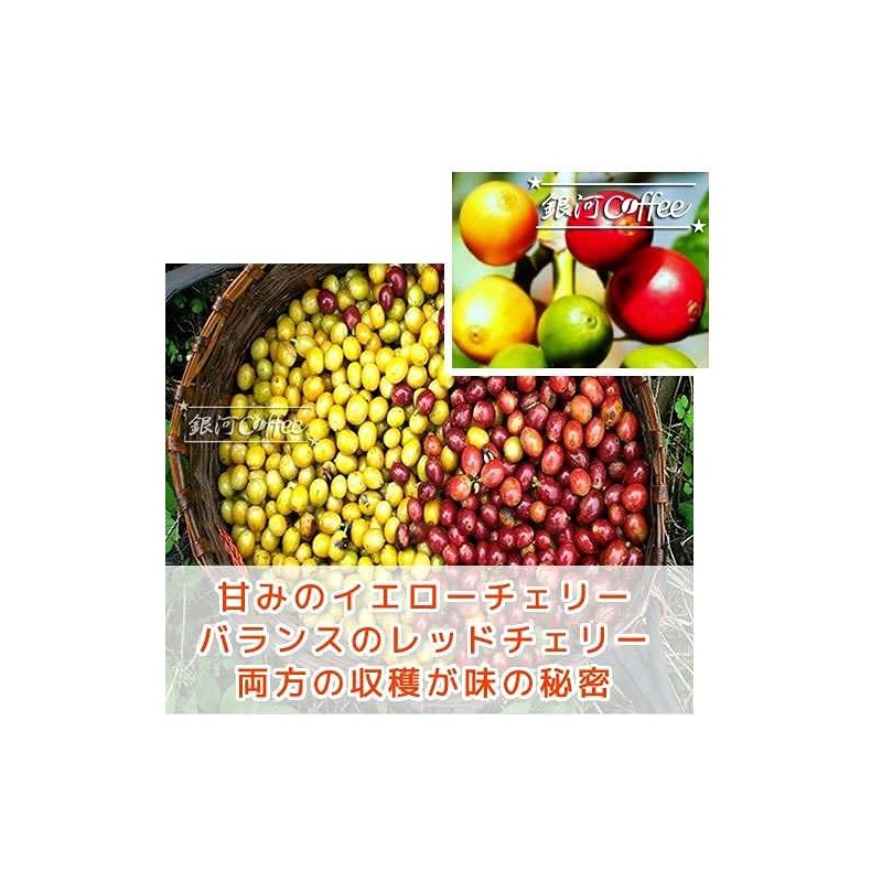 Coffee Raw Beans Blue Moon Thai Galaxy Coffee (600g)