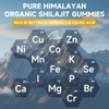 Pure Himalayan Shilajit Gummies for Men & Women | Sugar-Free