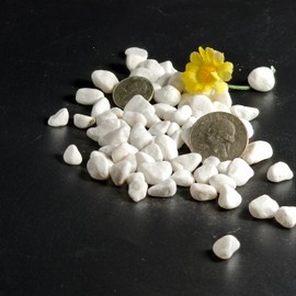 Decorative White Gravel,Small Size,1/4 Inch Nature Pebbles for Indoor Plant Pots,Garden Decor,Vases,Succulent Landscaping (White, 2LB)