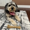 SPOT Bam-Bones Bone - Made with Strong Bamboo Fiber, Durable