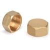 nutmanel Brass Cap 1/2 Inch Female Thread, Brass Blanking Plug