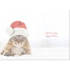 doodlecards Wife Christmas Card Cat with Santa Hat Medium Size