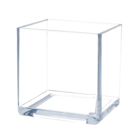 Royal Imports Flower Acrylic Vases Cubes, Decorative Centerpiece for Home or Wedding, Non Breakable Plastic, 6x6 - Clear