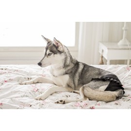 FINNERO Ballerina Dog Diaper – Washable, Reusable, Leak-Proof – Heat, Period & Urine Incontinence Protection – Comfortable, and Stylish Design – Adjustable Fit for Female Dogs – XL, Black