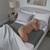 Waterproof bed pad with wings by GuardedSleep | Premium quality