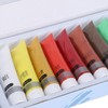 Acrylic Paint Set Hand Painted 12 Colors Pigment Tube for