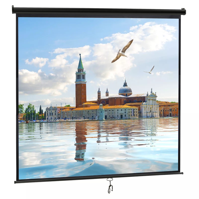 Segawe 120'' Projector Screen Projection Screen Manual Pull Down HD
