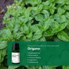Ätherisches Oreganoöl 5 ml AMYRON | Origanum Vulgare | 100%