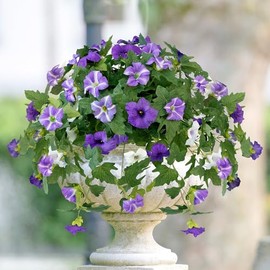 Richeerca Artificial Flowers for Outdoors, 2PCS Realistic Artificial Petunias UV Resistant No Fade Spring Floral, Faux Flowers for Outdoor Garden Windowsill Patio Porch Home Decor, Purple White