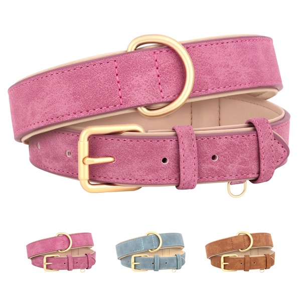 Beirui Soft Padded Leather Dog Collar for Dogs, Comfortable, Durable,
