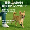 Pet Supporter, Elastic Velcro (Spring Included) Dogs, Rear Legs Dislocation,