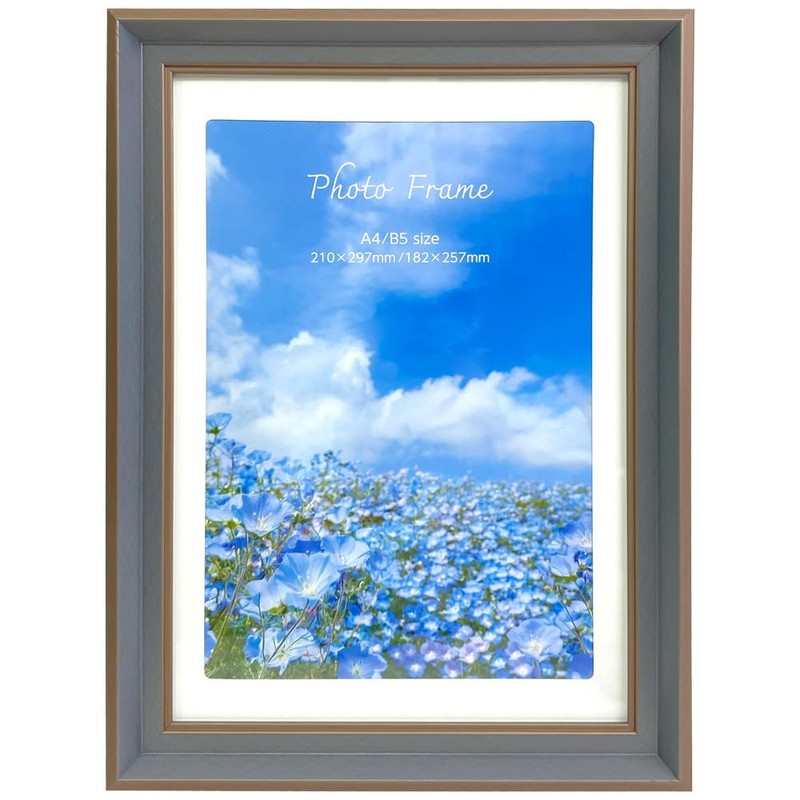 Nakabayashi Resin Photo Frame 02, A4/B5, Champagne Beige, IT-FL-PS02-A4-SB