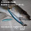 Daiwa Sea Bass Hunter Z 95F 3D Inakko (Mullet)