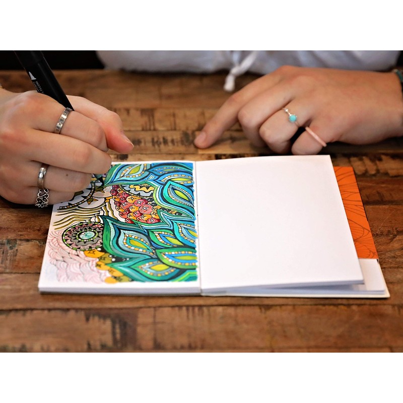 Chameleon, Color Cards, Art Supplies - Zen