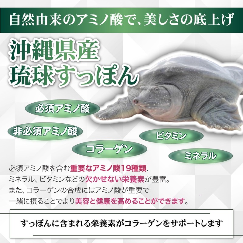 Shima no Ya (Attention to Taste) Ryukyu Soft-Shell Turtle Collagen