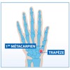 Hallux valgus Korrekturorthese mit Doppelschutz links (L)
