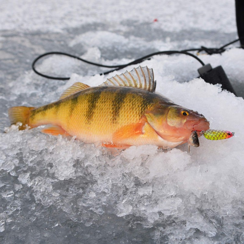 Lindy Fishing Tackle - Lindy Glow Spoon 1/16-Clown (LGS207), Multi-Color,
