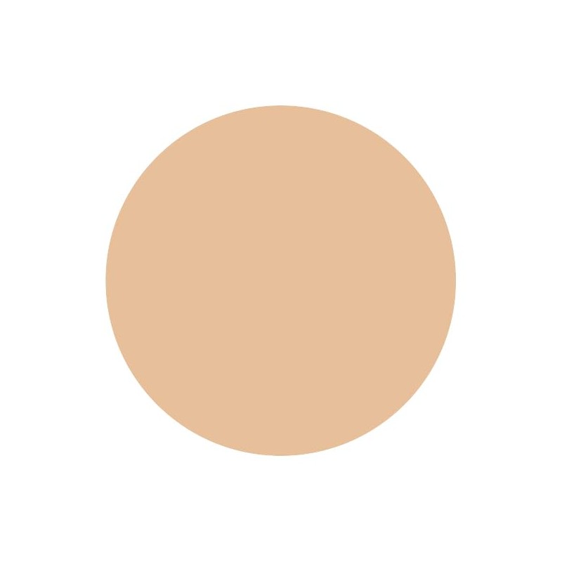 INTEGRATE GRACY Premium Pact Foundation Refill Ochre 20 Natural Skin