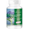 Devil's Claw Extract Capsules 1530 mg - 180 Vegan High